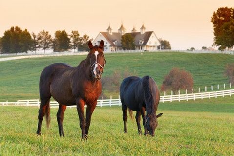 Farm Insurance